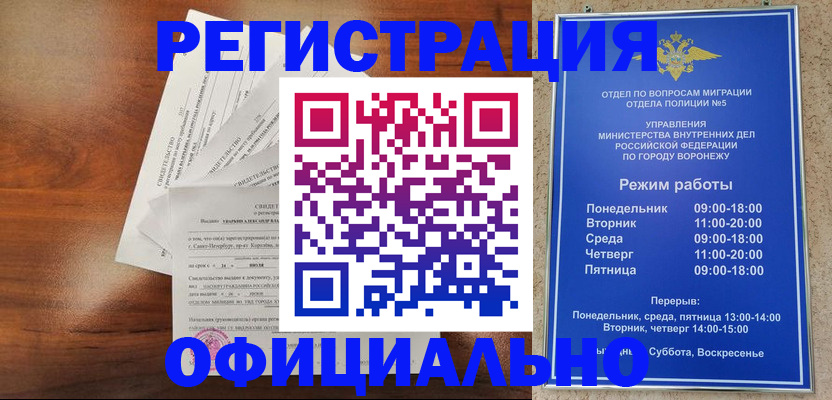 прописка поиск в Чудово